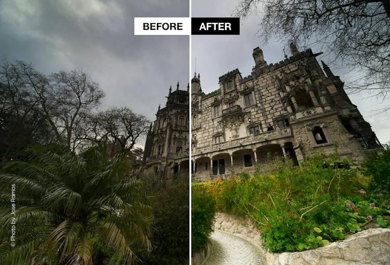 photolemur3 Photolemur 3